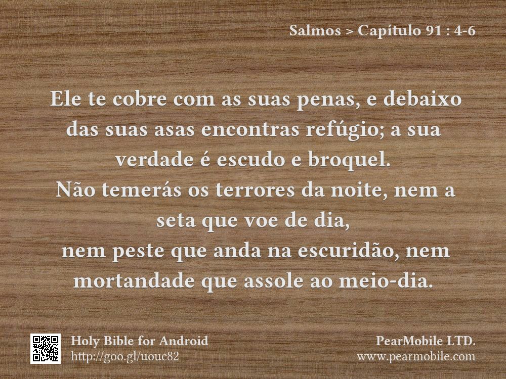 Salmos, Capítulo 91:4-6